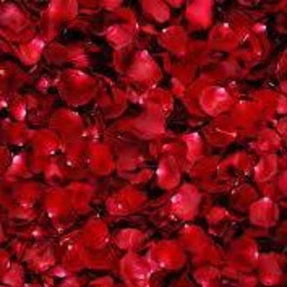 Meet your Posher, Cat